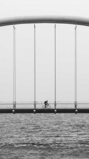 吃佛手瓜的大忌截图1